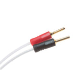QED XT25 PRE-TERM SPEAKER CABLE - 5M (QE1464)