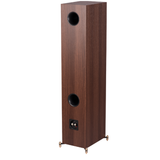Revival Audio Sprint 4 - Walnut