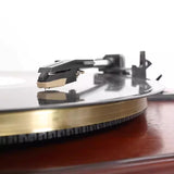 Record Player Needle Gold