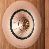 KEF R5 - Walnut