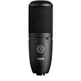 AKG P120