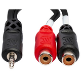 HOSA Stereo Breakout 3.5 mm TRS to Dual RCAF