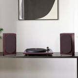 Triangle TurnTable Lunar 1 - Eggplant