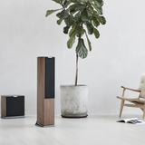 Audiovector R Sub Arrete - Italian Walnut