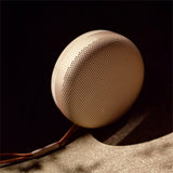 Bang & Olufsen Beosound A1 2nd Gen - Gold Tone - OTG