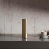 Bang & Olufsen Beosound Emerge Gold Tone Alu/Light Oak