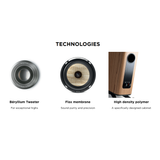 Focal KANTA 2 Walnut High Gloss / Ivory Mat