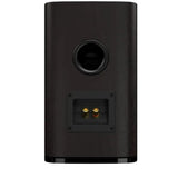 JBL Studio 620 DKW