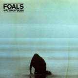Foals - What Went Down [LP]