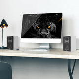 Laudberg XS1W 2.0 Bluetooth Computer Speakers - White