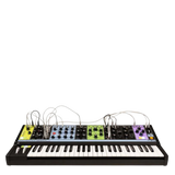 MOOG MATRIARCH