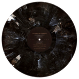Kendrick Lamar - To Pimp A Butterfly (Limited Edition) [2LP] - Metallic Blends