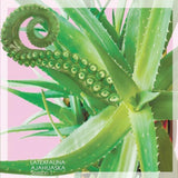 LATEXFAUNA - Ajahuaska. Season 1 [LP] (Pink Vinyl)