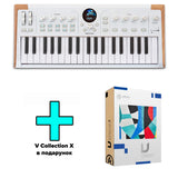 Arturia AstroLab 37 + V Collection X