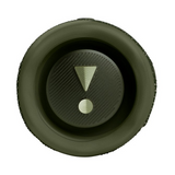 JBL FLIP 6 - Green