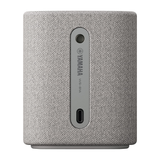 Yamaha WS-B1A - Gray
