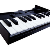 Roland K-25m