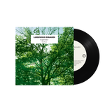 Ludovico Einaudi - Experience [7inch]