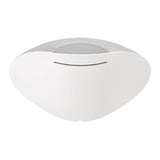 Bowers & Wilkins Wedge - Silver