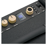 FENDER RUMBLE LT25