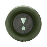JBL FLIP 6 - Squad
