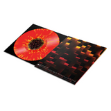 C418 - Minecraft Volume Beta (Limited Edition) [2LP] - Fire Splatter Vinyl