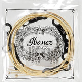 IBANEZ IACS6C ACOUSTIC GUITAR STRING 12-53