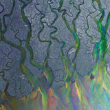 Alt-J - An Awesome Wave [LP]