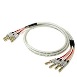 Furutech FS-301 2.5m FP-200B (G)