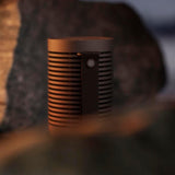 Bang & Olufsen Beosound Explore - Chestnut