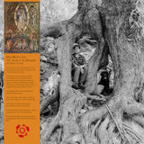Adam Geoffrey Cole - The Tracks Of The Afterlander [LP]