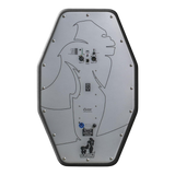 Monkey Banana Silverback - Green