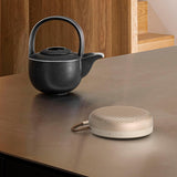 Bang & Olufsen Beosound A1 2nd Gen - Gold Tone - OTG
