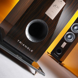 Triangle ANTAL 40Th - Santos Rosewood