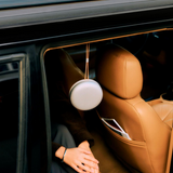 Bang & Olufsen Beosound A1 3rd Gen - Natural Alu