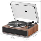 1 by ONE H009 - Walnut