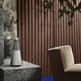 Bang & Olufsen Beosound 2 3rd Gen - Natural