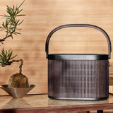 Bang & Olufsen Beosound A5 - Dark Oak