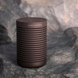 Bang & Olufsen Beosound Explore - Chestnut