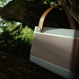 Bang & Olufsen Beolit 20 - Grey Mist