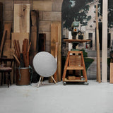 Bang & Olufsen Beosound A9 5.G - Natural Aluminium
