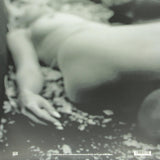 The Afghan Whigs - Do To The Beast [2LP]