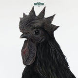 The Sade - Nocturna [LP] - Colored