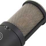 AKG P420