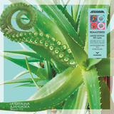LATEXFAUNA - Ajahuaska. Season 1/2 (Remastered) [2LP] - Colored