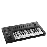 Native Instruments Komplete Kontrol A25