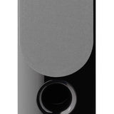 Focal Chora 816 Black. Light Wood. Dark Wood