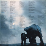 Epidemics : Shankar / Caroline - The Epidemics [LP]