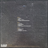 Foo Fighters - Concrete And Gold [2LP]