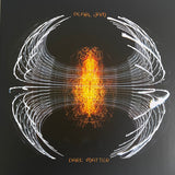 Pearl Jam - Dark Matter [LP] - Black